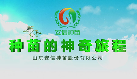 山東安信種苗股份有限公司攜手上海做企業宣傳片制作公司，共創企業宣傳新篇