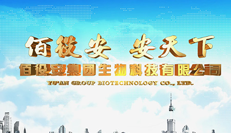 佰役安攜手上海集團宣傳片拍攝制作，共繪集團宣傳宏偉藍圖